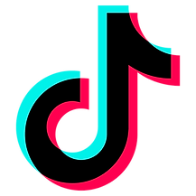 TikTok Logo