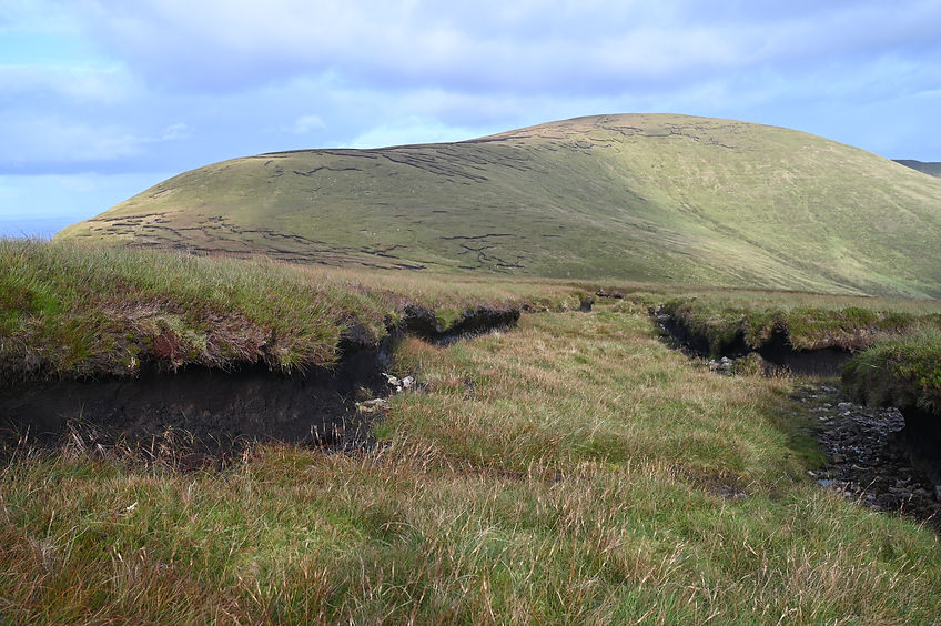 view 2.JPG
