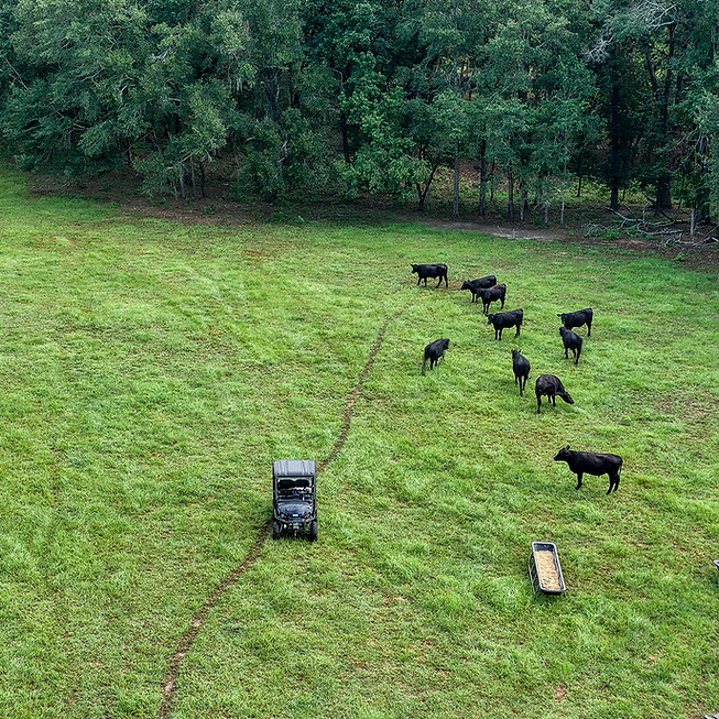 DJI_0624 copy.jpg