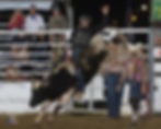 SID39601.jpg