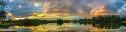 God's Paintbrush