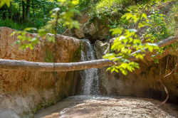 Clark Creek Natural Area