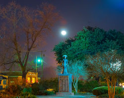 Eunice at Night