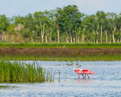 Near Eunice, LA