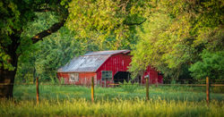 Red Barn
