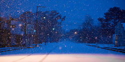 Walnut Street