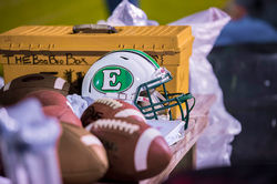 Bobcat FB