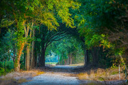 Tunnel Driveway