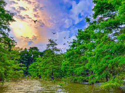 Sunday Afternoon at City Lake