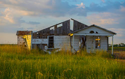 Old Homestead