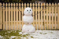 Frosty