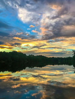 God's Paintbrush