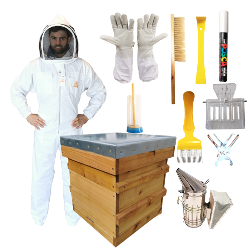 Commercial Hive Starter Kit Apis Bee Supplies