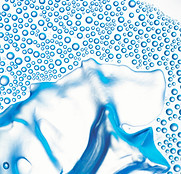 Closeup%20of%20a%20Petri%20Dish_edited.j