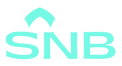 1 SNB.png