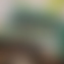 kinegram 格柵式的動畫