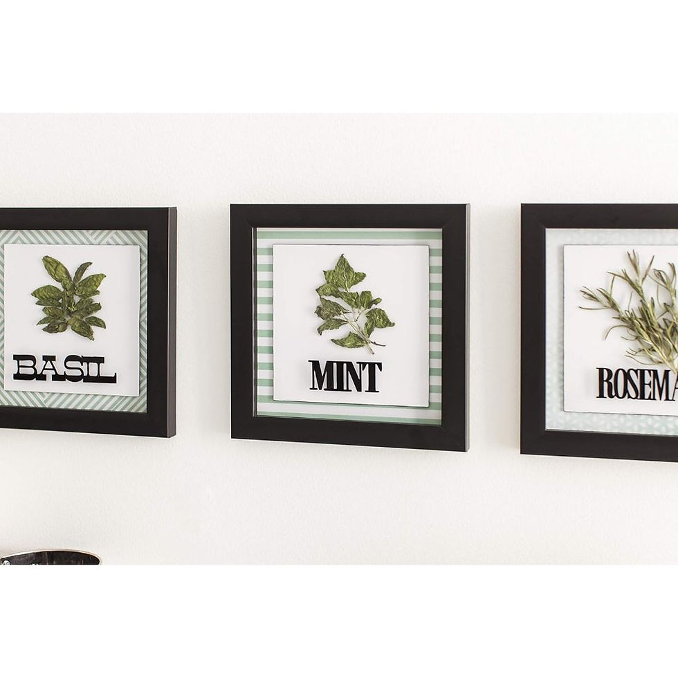 縮圖：cricut 膠膜 耐久型 黑色霧面 Matte Black vinyl Permanent 超值經濟型35ft