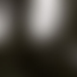 Post Uni fear...or your soul's calling?