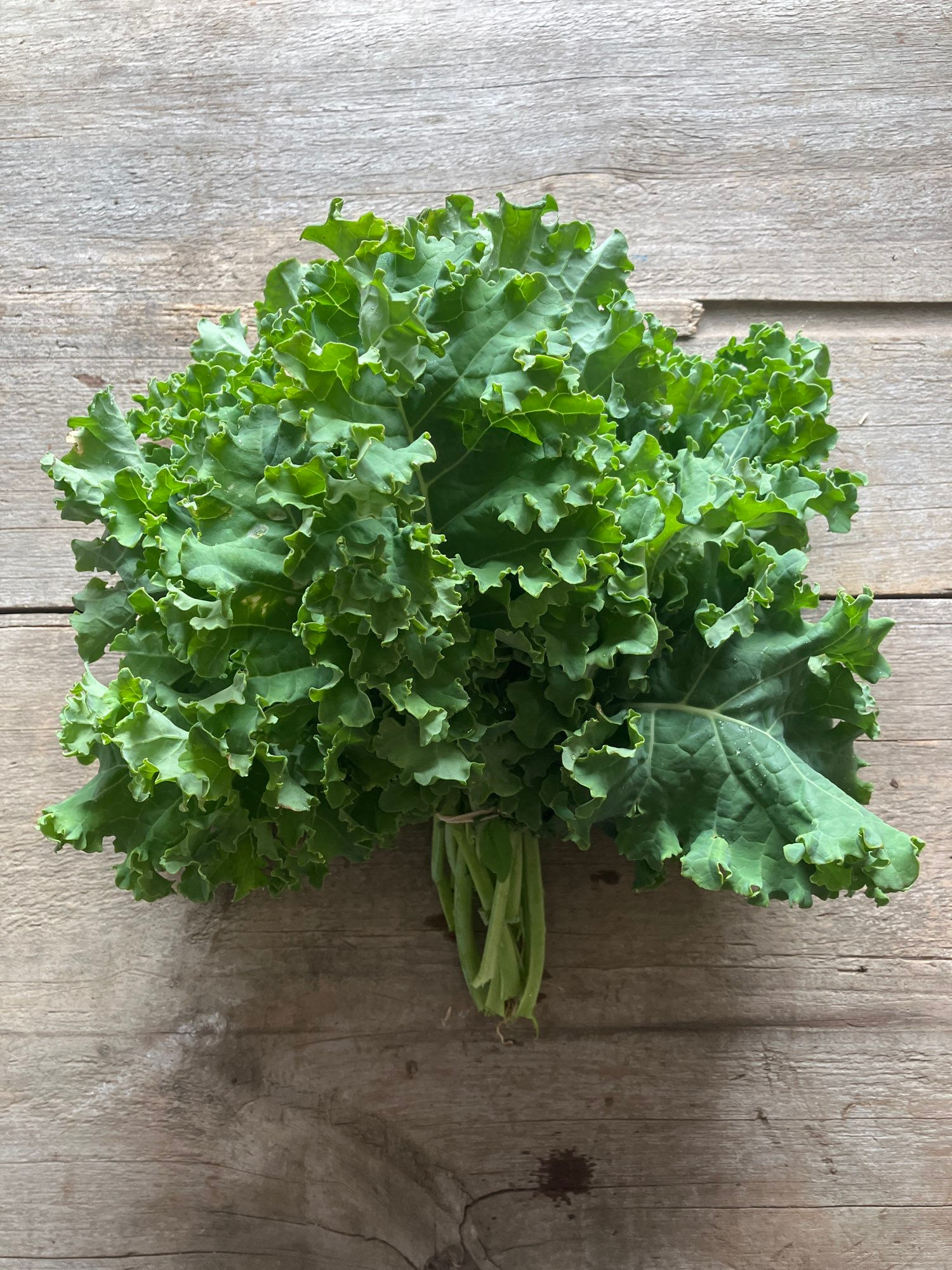  Kale (bunch) 