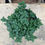 Thumbnail: Oregano (Origanum heracleoticum) Perennial Herb Plant