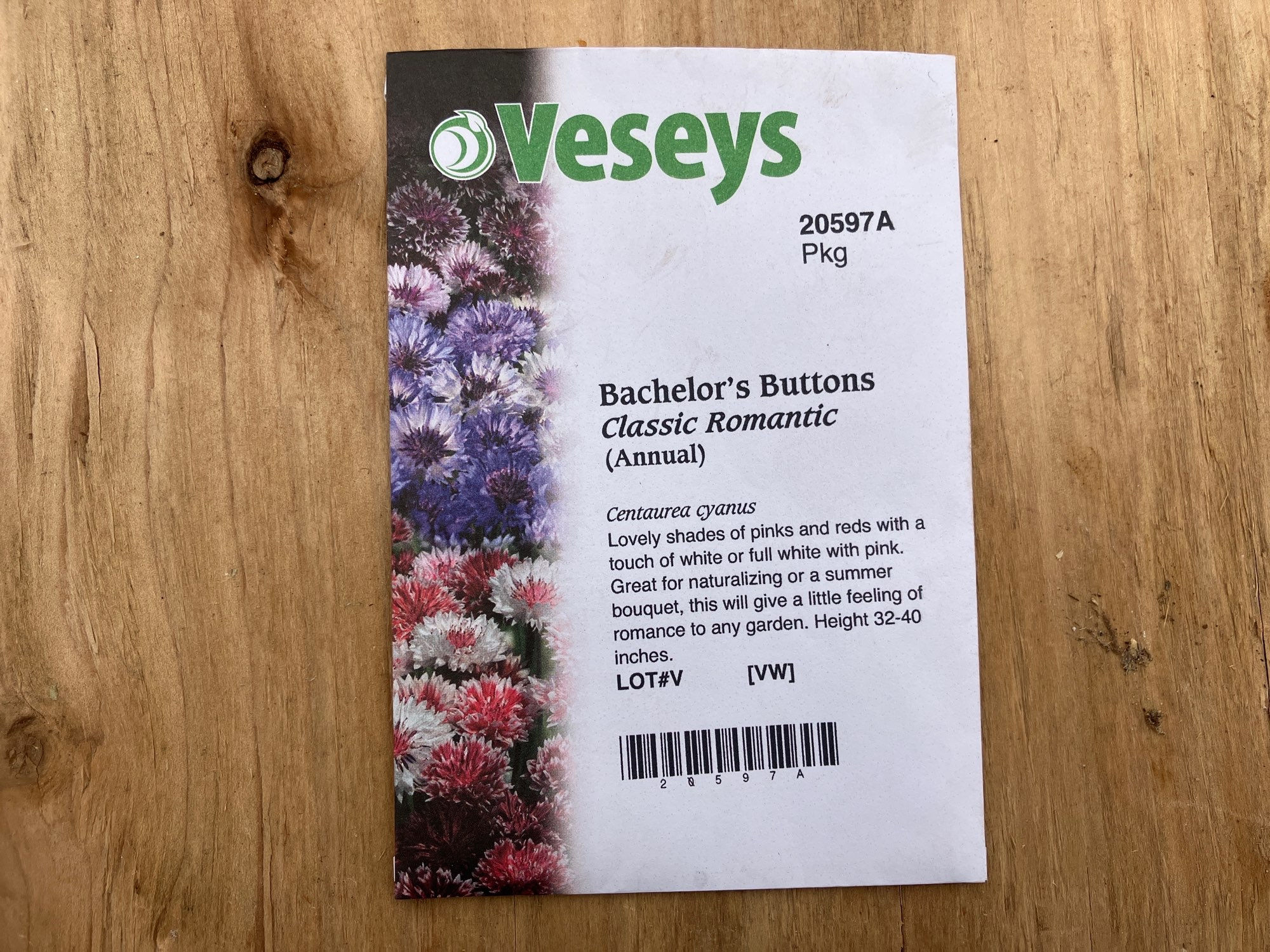 Bachelor’s Buttons (Centaurea cyanus) Classic Romantic Centaurea Annual Flower