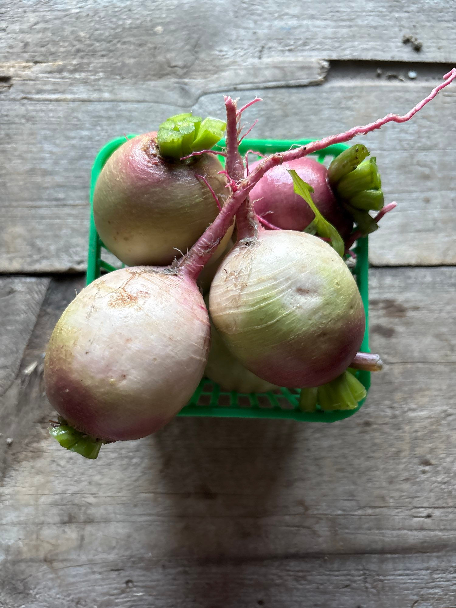 Red Meat Daikon Radish (quart)