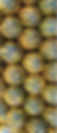 gg21_edited.png