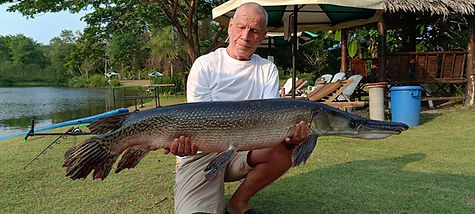 aligator gar.jpg