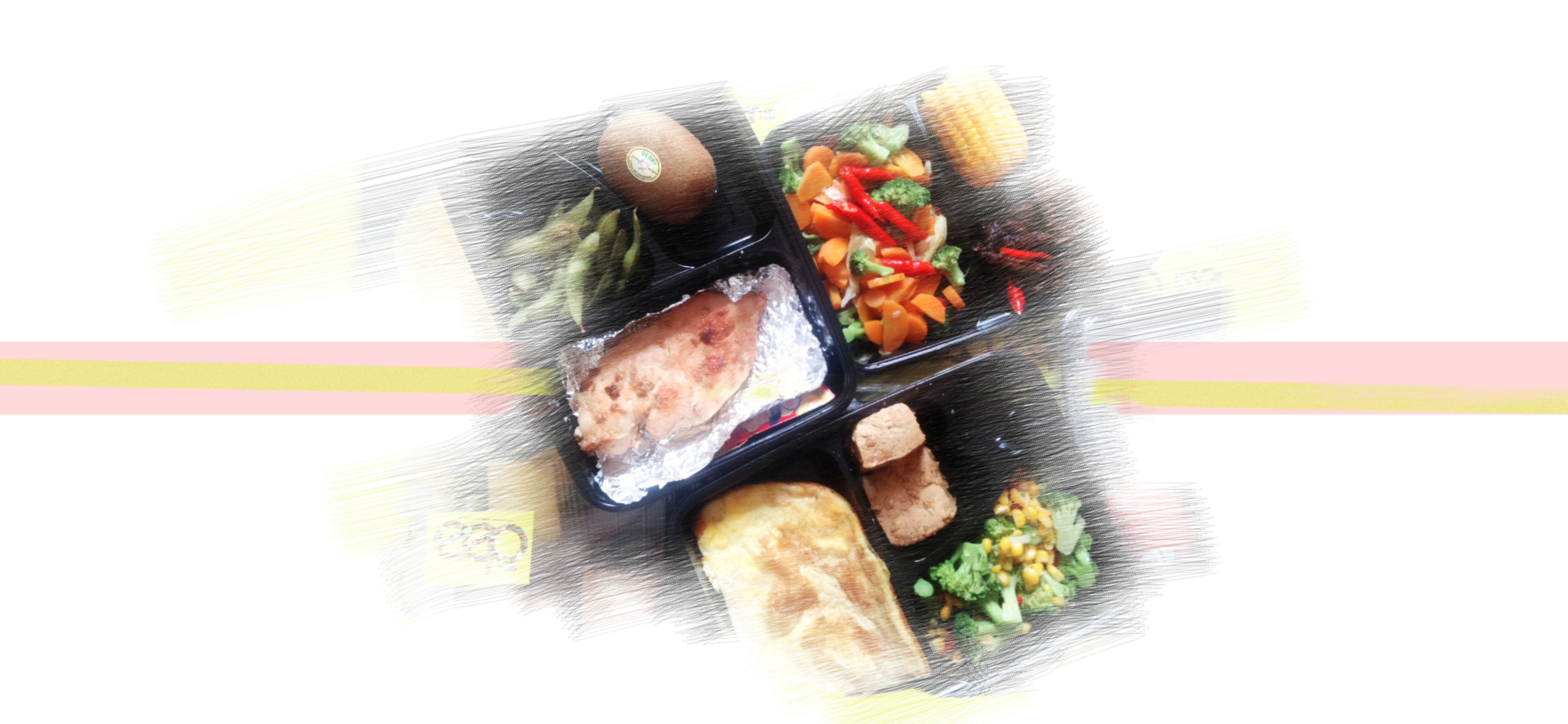 SALMON & VEGETABLE
