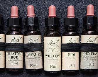 bach-flower-therapy-187800_640.jpg