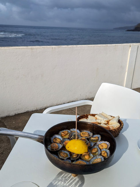 a pan full of Limpets, sea snails
