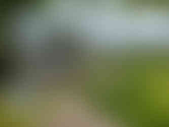 The view of a residential area of Magome