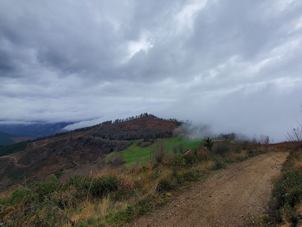 Camino sign