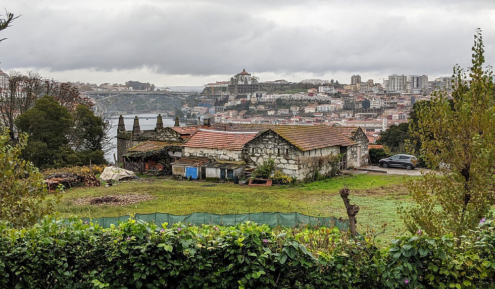 The city of Porto viewed from the Gaia side