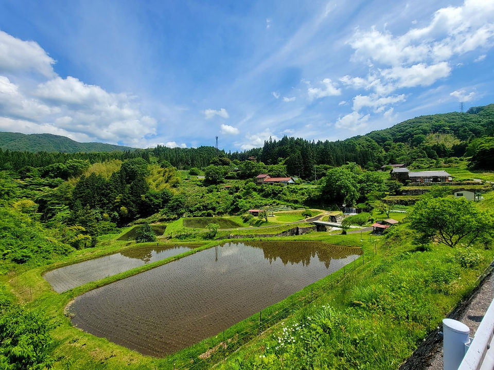 Rice fields on a sunny day next to the Yogawa Michi trail on Nakasendo