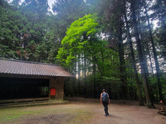 A woman walking through shrine grounds outside of Magome