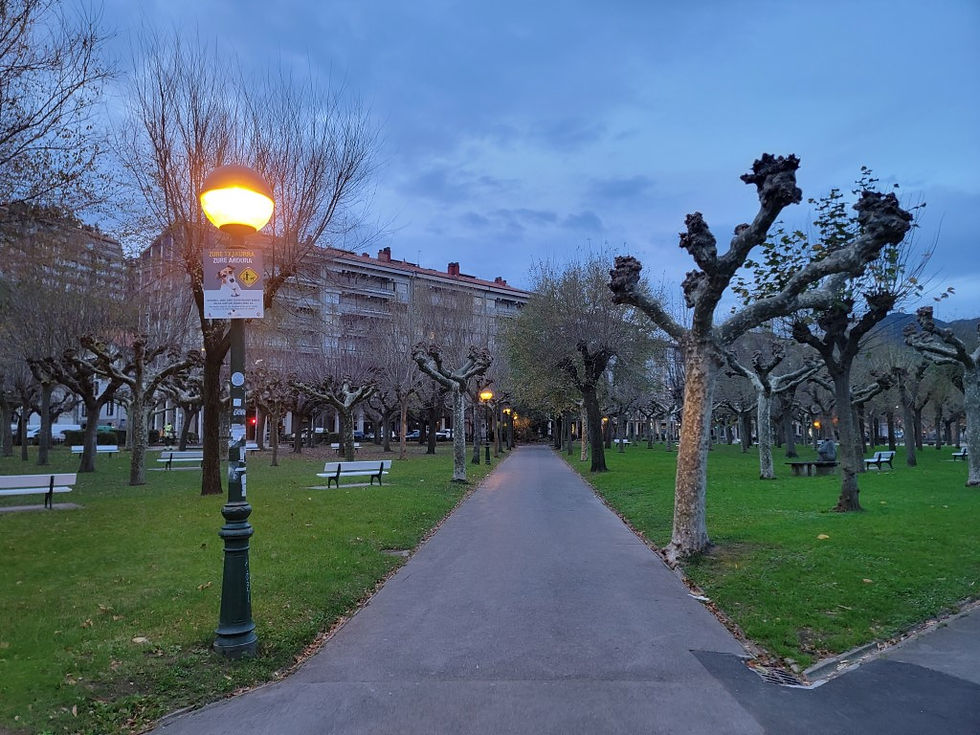 A path in a park