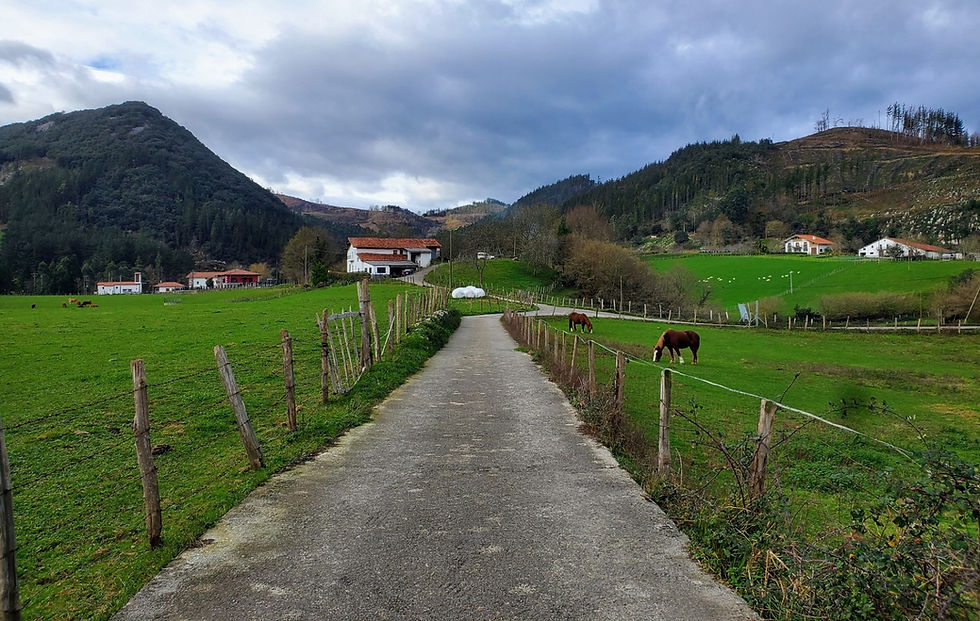 A horse grazing in a field in a small village between the mountains of Basque