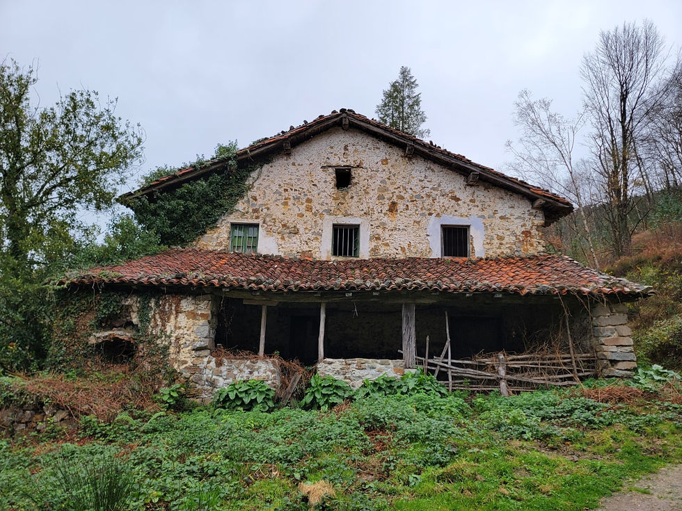 Abandoned house in woods