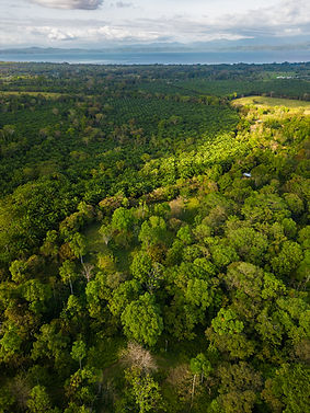 Kópia súboru rk_dron_monterrey-3.jpg