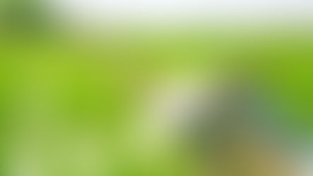 The Ultimate Guide to Solar Water Pumps: Sustainable Solutions for Modern Agriculture and Beyond