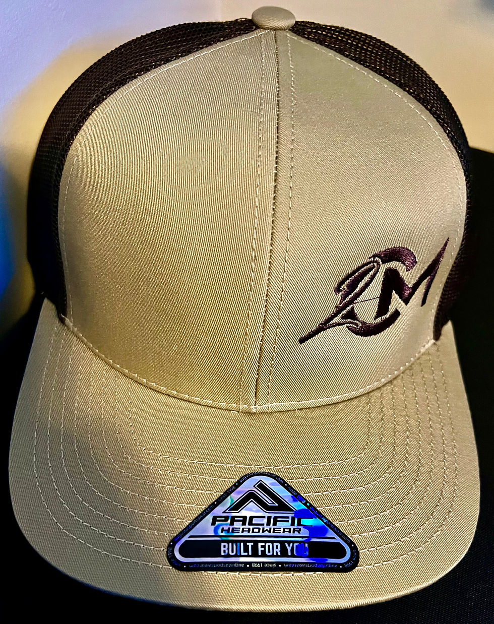Thumbnail: New Logo Hats