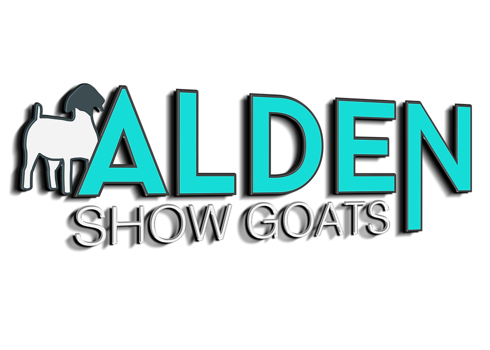 ALDEN-3D3.png