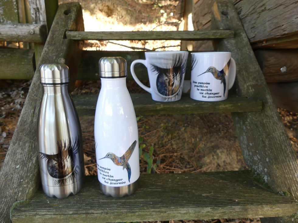 Miniature : Colibri