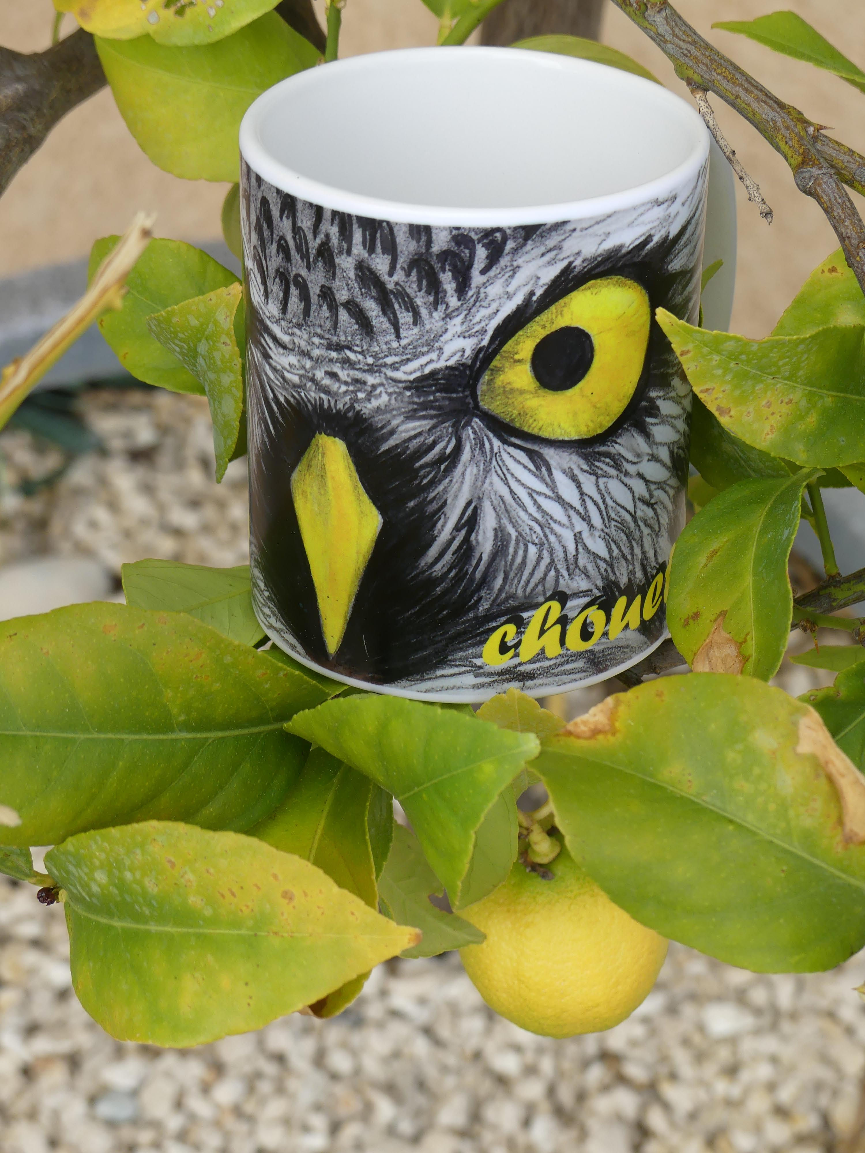 Mug 10oz Mat - La vie est chouette