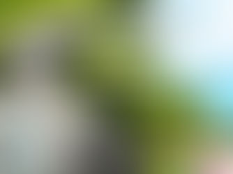 Respect yourself and others will respect you.