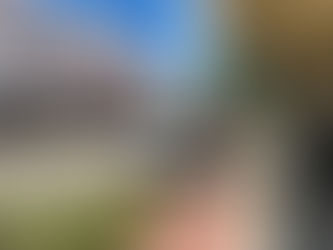 My Visit to Arcadia, Florida