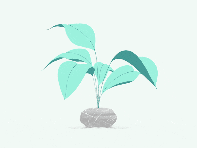 plant-large.gif