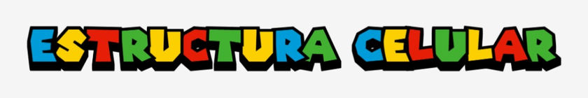 ESTRUCTURA-CELULAR-29-12-2024.jpg