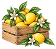 crate_at_a_glance.png